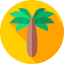Hawaii icon 64x64